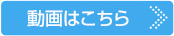 動画はこちら